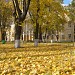 НИИ фтизиопульмонологии Сеченовского университета в городе Москва