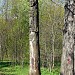 Деревянная скульптура в городе Москва