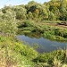 Пруд в пойме реки Чермянки в городе Москва