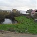 Пруд в городе Пеники