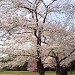 成田山新勝寺