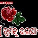 Sarol