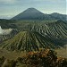 Lautan Pasir Gunung Bromo