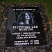 Cliff Burton's Memorial Stone