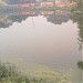 Binauli Talab (jahod) By- Pravej