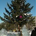 Городская площадь в городе Лесозаводск