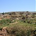 Citadel of Harem قلعة حارم الأثرية