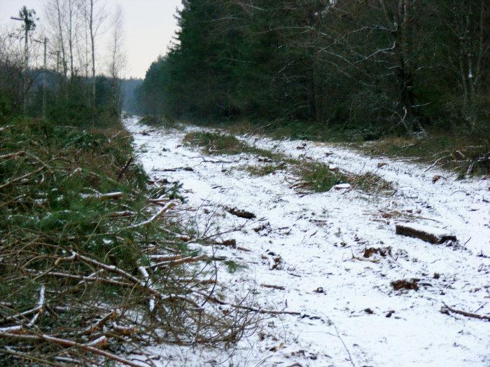 Stacja Kolejowa PKP Zubki Białostockie