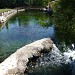 Fédération De Pêche Du Vaucluse