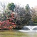 井の頭恩賜公園