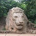 le lion in Ifrane city
