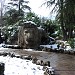 le lion in Ifrane city