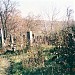 Raducaneni Jewish cemetery 1 1901-1945
