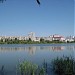 Лебединое озеро в городе Киев