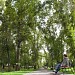 Пушкинский сквер в городе Абакан