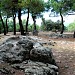 Ermita de los Remedios, Necropolis visigoda