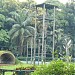 Kandang Orangutan Kalimantan (Pongo pygmaeus) (id) in Jakarta city