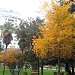 Park in Tirana city