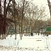 Яблоневый сад в городе Долгопрудный