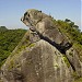 Pedra do Sapo