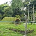 Kandang Orangutan Kalimantan (Pongo pygmaeus) (id) in Jakarta city