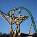 Cheetah Hunt in Tampa, Florida city