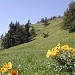 Skwaha Lake Ecological Reserve