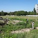 Место под строительство спортивно-оздоровительного центра в городе Пятигорск