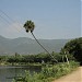 Pethanaicken Palyam Lake ( Chinnama Samuthram Yari )