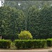Пересечение основных аллей дендропарка в городе Москва