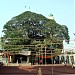 Hazrat Shah Ali Bogdadi Shrine