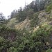 Comox Lake Bluffs Ecological Reserve