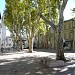 Place des Carmes dans la ville de Avignon