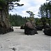 Cape Scott Provincial Park