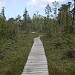 Cape Scott Provincial Park