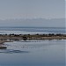 Esquimalt Lagoon