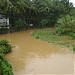 KULUKKALLUR Gate on Shoranur-Nilambur broad gage line(by kuttan mct) in Pattambi city