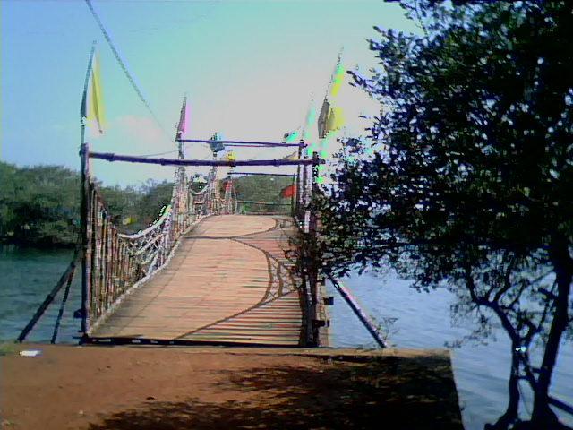 Mangroove Theme Park Kannur