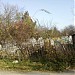 Кладбище станицы Горячеводской в городе Пятигорск