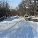 Городской парк Дружбы Народов