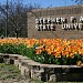 Stephen F. Austin State University (SFA)