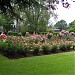 Fairmont Empress Rose Garden