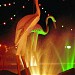 دوار البلدية في ميدنة مدينة العين 