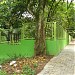 Kasuari di kota DKI Jakarta