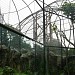 Kandang Macaca & Simpance (en) di kota DKI Jakarta