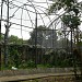 Kandang Macaca & Simpance (en) di kota DKI Jakarta