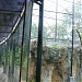 Kandang Macaca & Simpance (en) di kota DKI Jakarta
