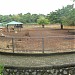 Rusa Jawa di kota DKI Jakarta