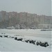 ул. Максима Горького, 41 в городе Бобруйск