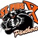 Saint Pius X High School